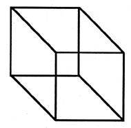 Necker Cube