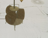 Large Glass
showing the crack