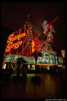 Golden Goose