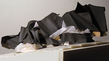Frank O. Gehry